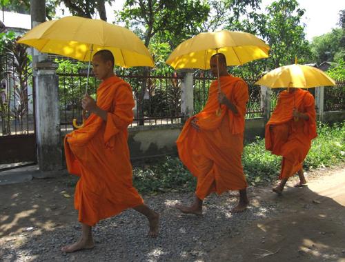 Cycling Mekong Delta on scenic paths of Ben Tre, Tra Vinh, and Can Tho