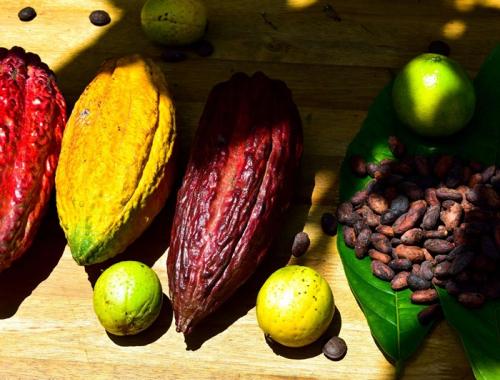 A day trip cycling to Caibe countryside, by ferry boats and by bike