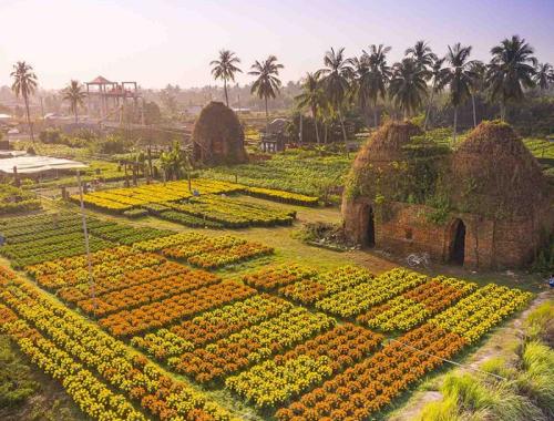 Mekong Cycling Tours, overnight at homestay in Caibe, cruise through Cho Lach's countryside