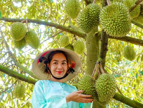 Ride along hidden back roads, starting in Saigon and Cai Be, passing through Ben Tre’s tranquil canals, experiencing Khmer culture, and ending in the lively river city of Can Tho.