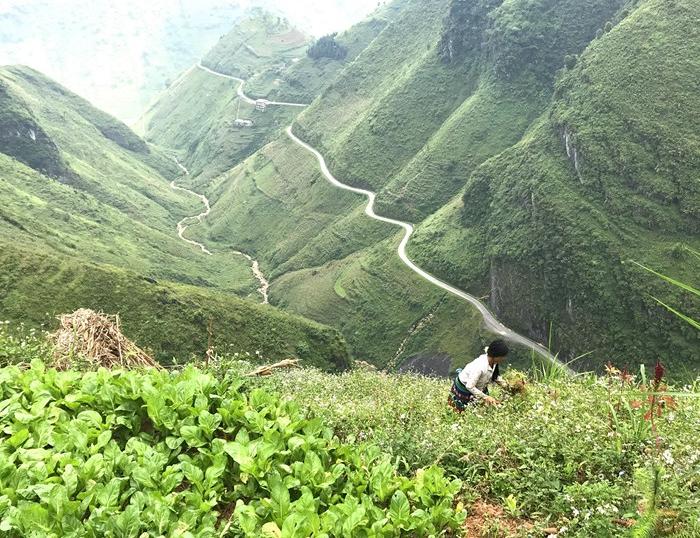 Cycling loop of Ha Giang, explore Phong Nha Cave, and DMZ, biking to Hue, and Hoi An