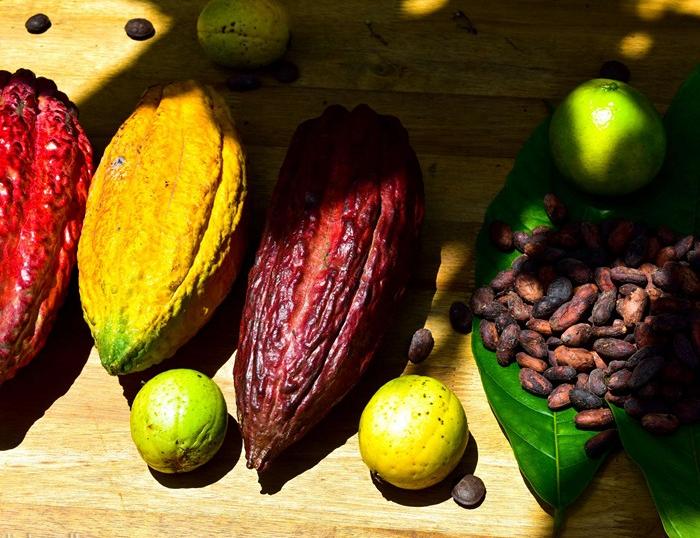 A day trip cycling to Caibe countryside, by ferry boats and by bike