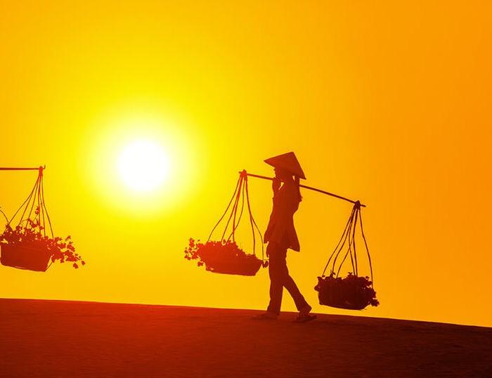 Cycling to central highlands, trek through Nam Cat Tien, see the waterfalls, admire sandune, relax on sandy beach in Vung Tau