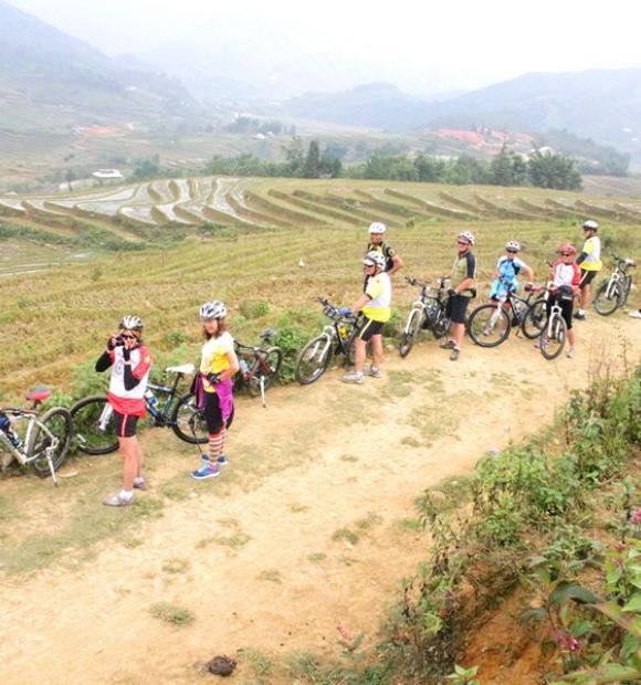 Cycling from Saigon to Ha Noi, Dalat to Nha Trang to Hue, explore Mai Chau, Ninh Binh