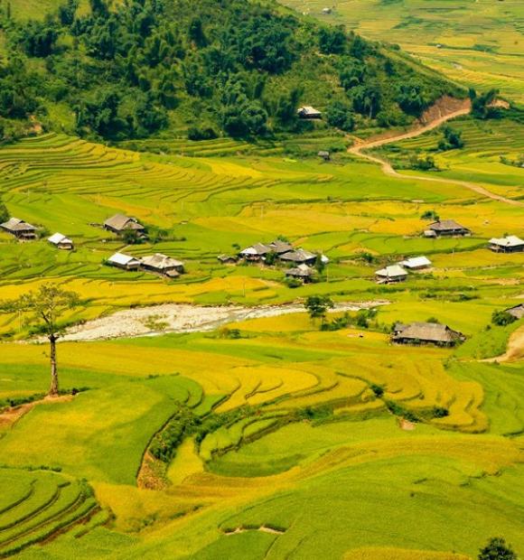 Cycling Northwest Vietnam Cycling Loops, Mai Chau, Moc Chau, Mu Cang Chay, and Sapa to Ha Noi