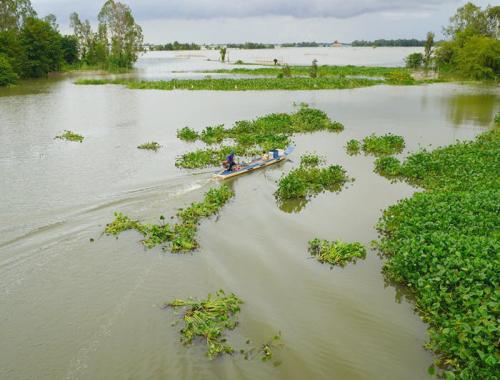 Embark on a Mekong adventure to explore Vietnam’s southernmost point, Ca Mau, the remote hamlets of Mien Thu and Ha Tien, and the wetlands of the Delta