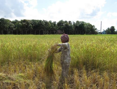 Explore Rustic Countryside & Chocolate Factory