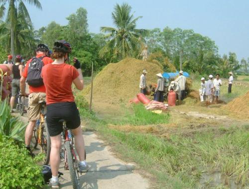 Cross-Border Cycling Journey: Phnom Penh to Saigon, Takeo, Cahu Doc, Can Tho, Tra Vinh