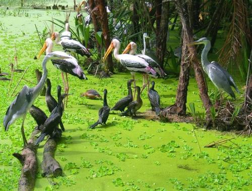 Phnom Penh to Chau Doc by boat, Venture through Mekong Delta to Ho Chi Minh by bicycle 4 days/3 nights