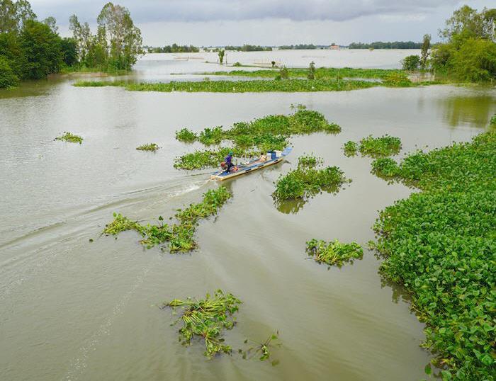 Embark on a Mekong adventure to explore Vietnam’s southernmost point, Ca Mau, the remote hamlets of Mien Thu and Ha Tien, and the wetlands of the Delta