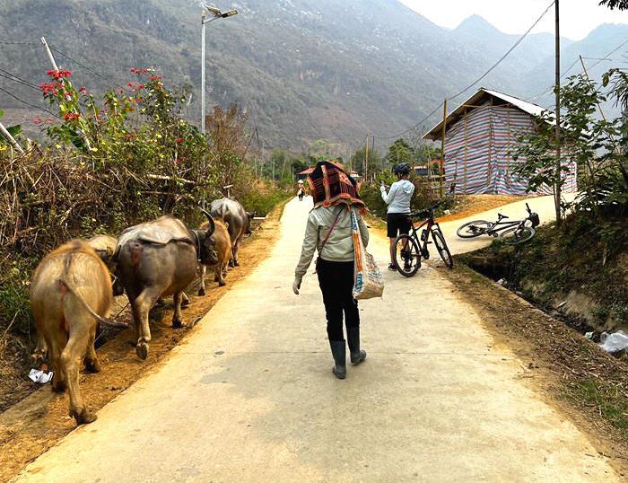 Cycling North West Vietnam Loop- Sapa- Mu Cang Chai- Moc Chau