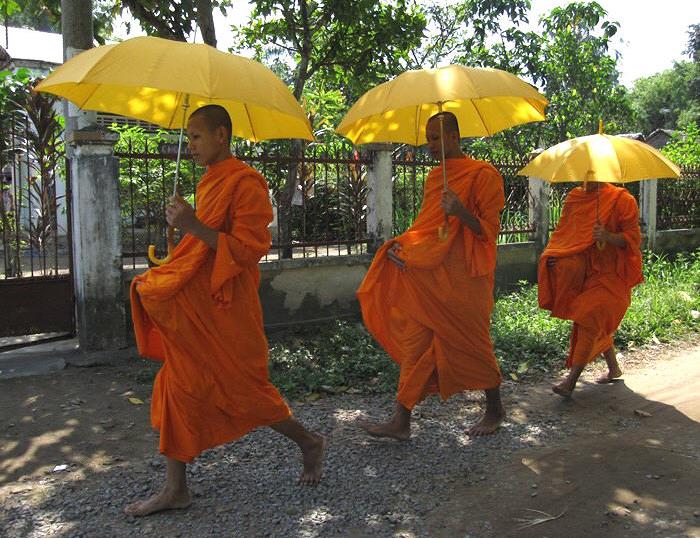 Cycling Mekong Delta on scenic paths of Ben Tre, Tra Vinh, and Can Tho