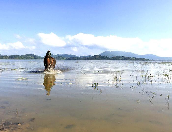 Explore Nam Cat Tien park, ride to central highland-Dalat. experience a M’Nong ethnic minority-Jun village and local lifestyl in Lak Lake, Ban Me Thuot, downhill cycling to seaside province, Nha Trang.