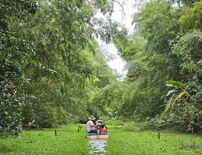 Cycle through Ben Tre, explore the Mekong Delta's Green Lung, Lung Ngoc Hoang wetland Forest, ride to Sadec, and Xeo Quyt base