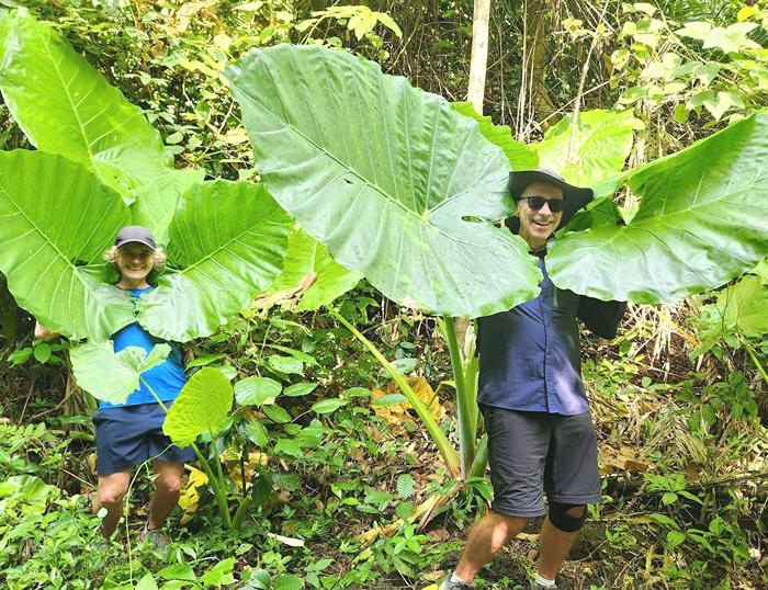 Mekong Delta, explore vibrant villages, discover Nam Cat Tien Park, hiking to Crocodile Lake