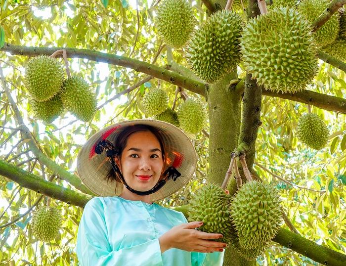 Ride along hidden back roads, starting in Saigon and Cai Be, passing through Ben Tre’s tranquil canals, experiencing Khmer culture, and ending in the lively river city of Can Tho.