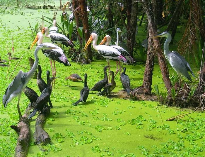 Phnom Penh to Chau Doc by boat, Venture through Mekong Delta to Ho Chi Minh by bicycle 4 days/3 nights