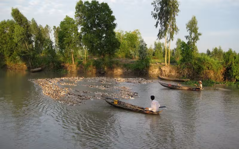 Mekong Delta countryside